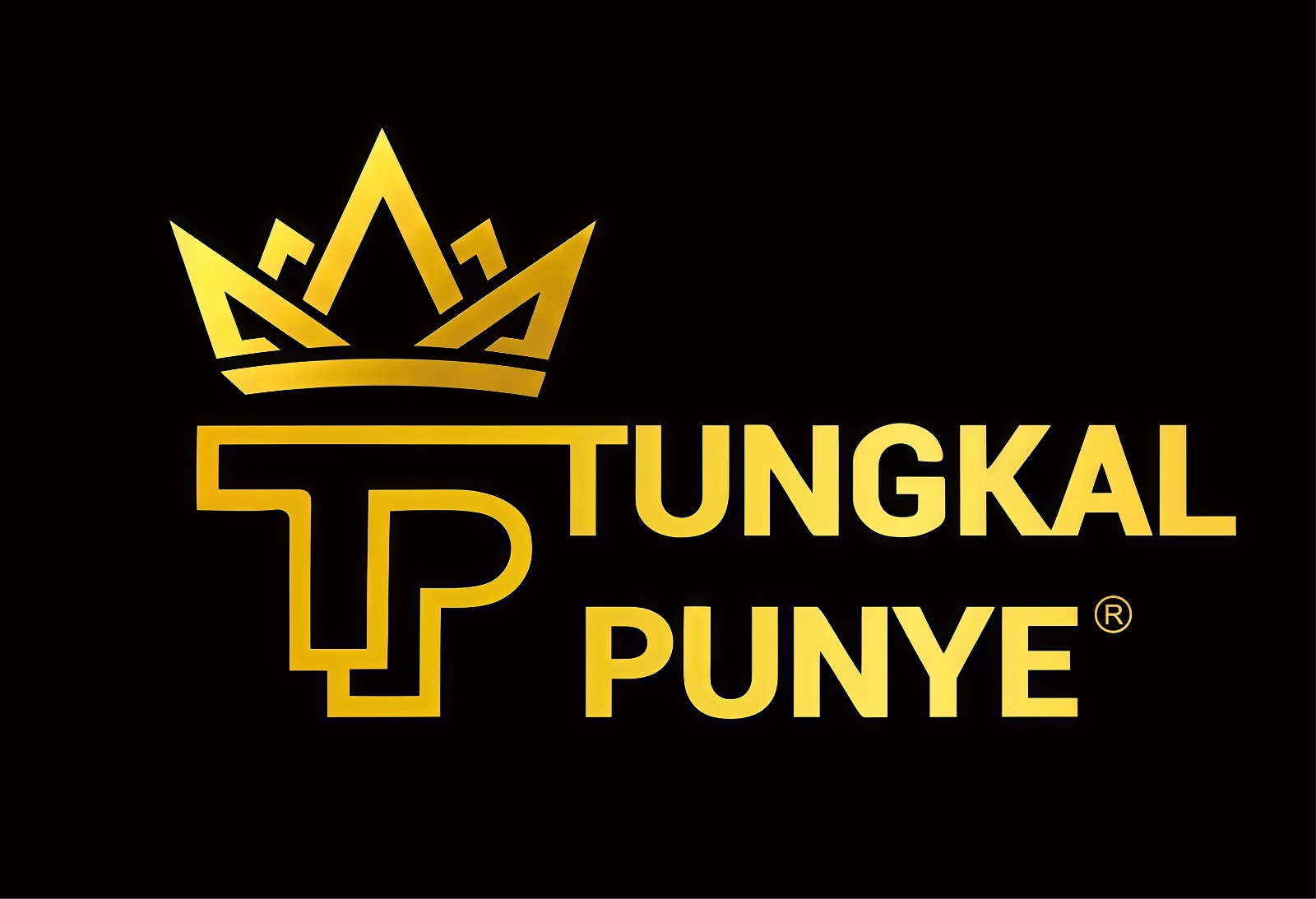 Logo Tungkal Punye